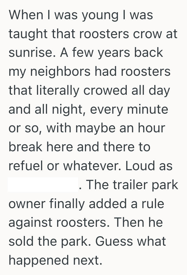 Screenshot 2025 07 04 at 6.21.38 PM Noisy Roosters Jolted Them Awake Every Morning, So One Sleep Deprived Renter Considered Turning Their Neighbors In For Excessive Noise
