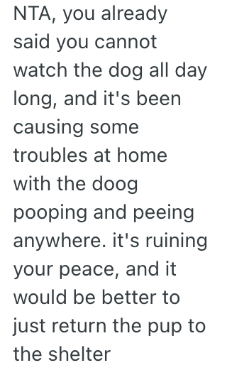 Screenshot 2025 07 08 at 8.23.47 AM His Roommates Took In A Stray Puppy, But He Refuses To Help Out With It