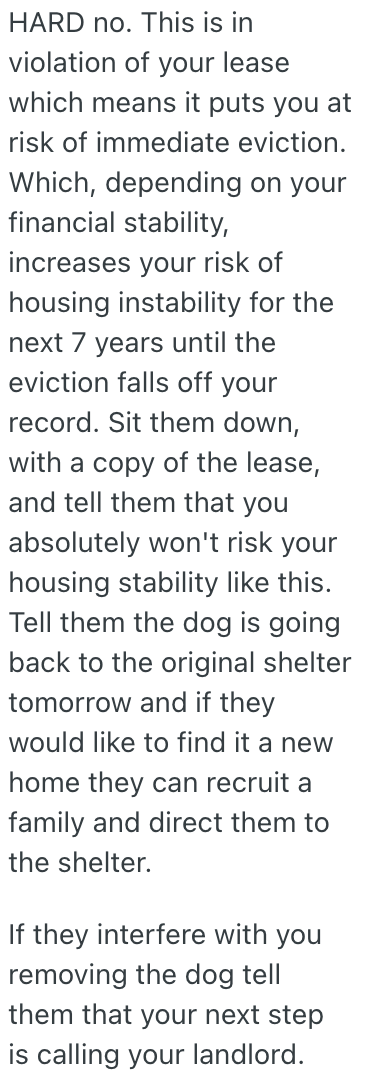 Screenshot 2025 07 08 at 8.24.00 AM His Roommates Took In A Stray Puppy, But He Refuses To Help Out With It