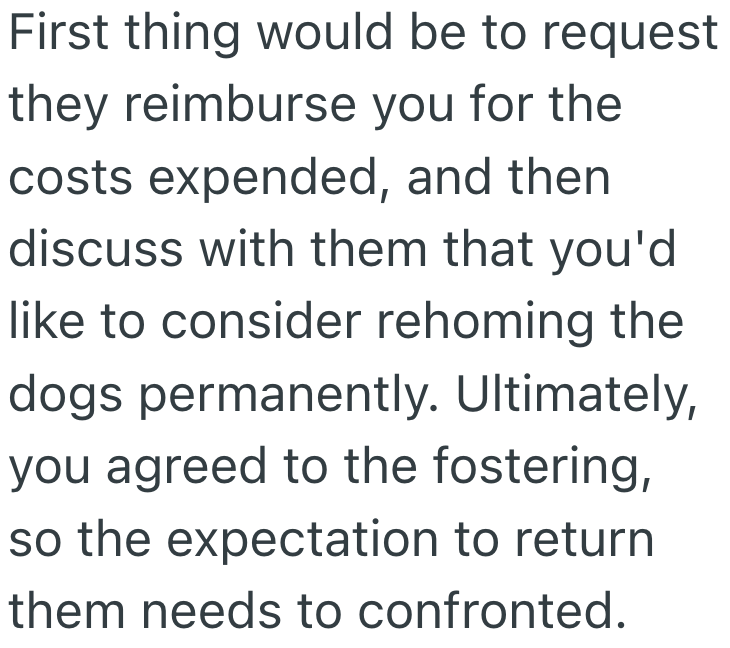 Screenshot 2025 07 08 at 9.10.27 PM They Fostered A Family Members Dogs And Spent Tons On Vet Bills, And Now They Want To Keep Them And Give Them A Better Life