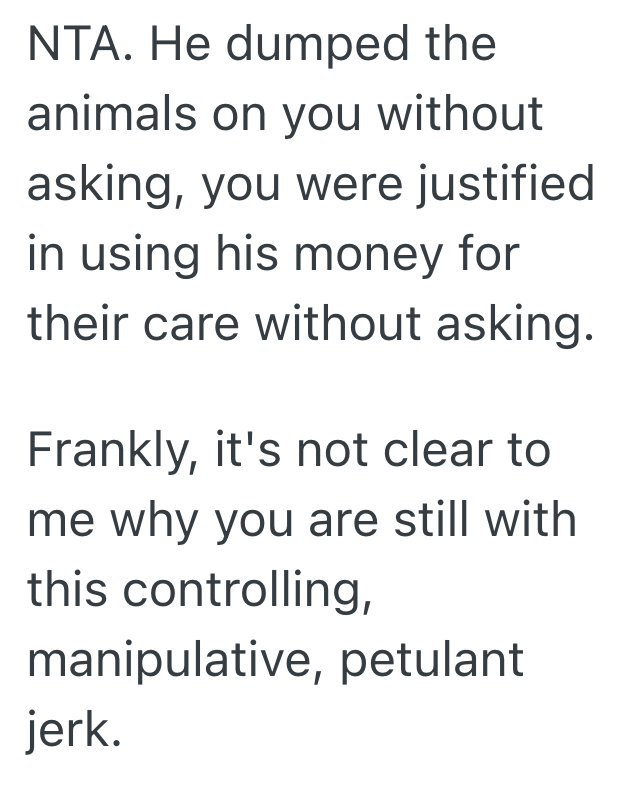 Screenshot 2025 07 09 at 8.13.04 PM She Told Her Boyfriend That If He Got More Pets She Wouldnt Take Care Of Them, But He Called Her Bluff And Found Out The Hard Way That She Wasnt Joking
