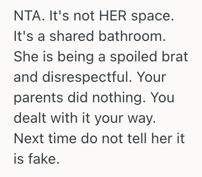 Screenshot 2025 07 12 at 3.27.18 PM His Older Sister Kept Hogging Their Shared Bathroom Taking Selfies For 40 Minutes, So This Teenage Boy Pulled A Prank To Teach Her A Lesson