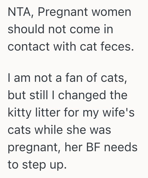 Screenshot 2025 07 15 at 9.49.08 PM Her Pregnant Sister Wants Her To Clean The Litter Box For Her, But She Really Doesnt Want To Do It