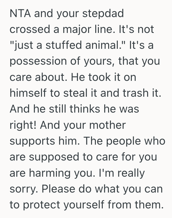 Screenshot 2025 07 16 at 2.06.31 PM His Stepdad Tried To Discard His Beloved Stuffed Animal, So One Autistic Teen Was Left Feeling Deeply Betrayed By The People Who Should Have Cared