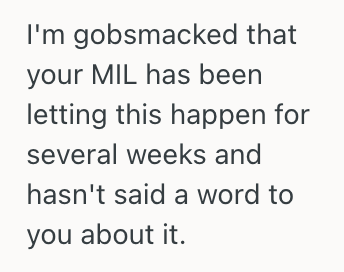 Screenshot 2025 07 19 at 9.25.04 PM Woman Discovered Her Mother In Law’s Dog Was Ruining The Carpet, So She Wanted Her Husband To Step In And Talk To His Mom