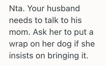 Screenshot 2025 07 19 at 9.25.31 PM Woman Discovered Her Mother In Law’s Dog Was Ruining The Carpet, So She Wanted Her Husband To Step In And Talk To His Mom