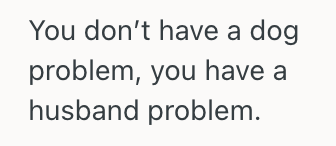 Screenshot 2025 07 19 at 9.26.14 PM Woman Discovered Her Mother In Law’s Dog Was Ruining The Carpet, So She Wanted Her Husband To Step In And Talk To His Mom
