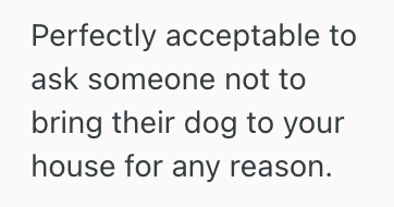 Screenshot 2025 07 19 at 9.26.45 PM Woman Discovered Her Mother In Law’s Dog Was Ruining The Carpet, So She Wanted Her Husband To Step In And Talk To His Mom