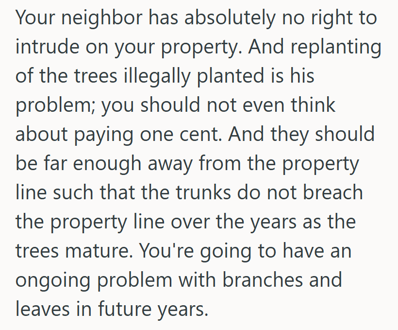 Screenshot 2025 07 21 143536 Man Had Trees Planted Near The Property Line, But When The Neighbors Had A Survey Done, They Told Him To Move Them All