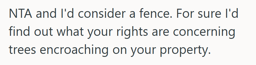 Screenshot 2025 07 21 143558 Man Had Trees Planted Near The Property Line, But When The Neighbors Had A Survey Done, They Told Him To Move Them All