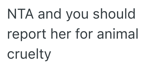 Screenshot 2025 07 21 at 11.20.54 PM Her Sister Was Cruel To Her Dog, So This Woman Said No To Babysitting Her Sisters Son For Free