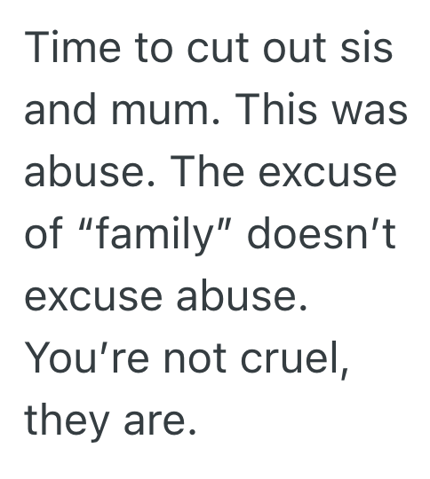 Screenshot 2025 07 21 at 11.22.32 PM Her Sister Was Cruel To Her Dog, So This Woman Said No To Babysitting Her Sisters Son For Free