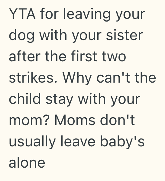 Screenshot 2025 07 21 at 11.23.35 PM Her Sister Was Cruel To Her Dog, So This Woman Said No To Babysitting Her Sisters Son For Free
