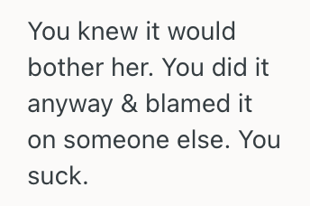 Screenshot 2025 07 23 at 2.37.34 PM Man Planned A Celebration For His Wifes 40th Birthday, But His Sister in Law Demanded That He Move The Date Of The Party