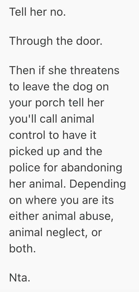 Screenshot 2025 07 24 at 10.56.23 AM Womans Grandmother Constantly Saddles Her With An Anxiety Ridden Dog For Weeks At A Time, So Shes Thinking About Taking The Dog To A Shelter