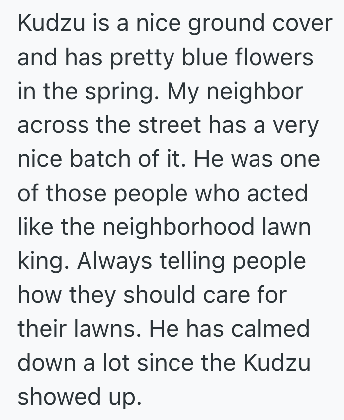 Screenshot 2025 07 24 at 12.08.26 AM His Cranky Neighbor Called The Police On Him For A Patch Of Tall Grass, So He Got His Revenge On The Neighbors Lawn