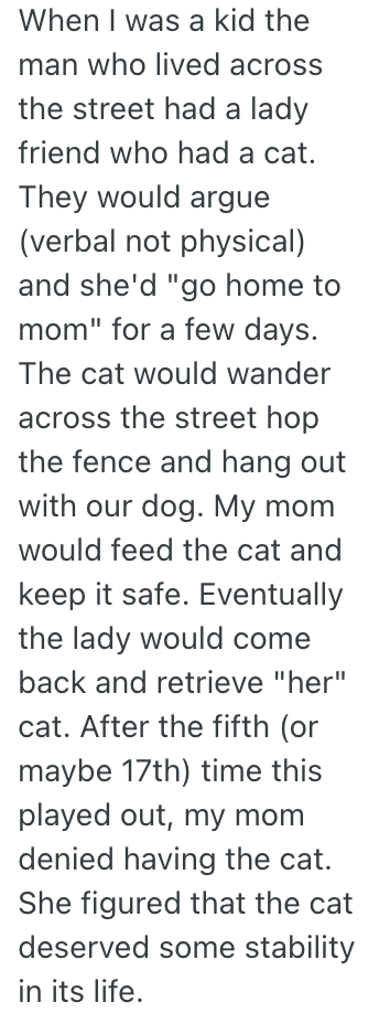 Screenshot 2025 07 29 at 8.09.25 AM Her Cousin Demanded She Hand Over The Cat She Inherited, But She Didnt Want To Give Him Up