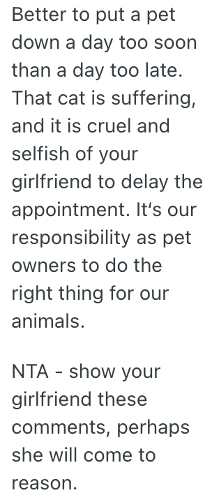 Screenshot 2025 07 29 at 8.46.11 AM His Girlfriend Doesnt Want To Put Her Sick Cat To Sleep Yet, But He Thinks She Needs To Do it Immediately