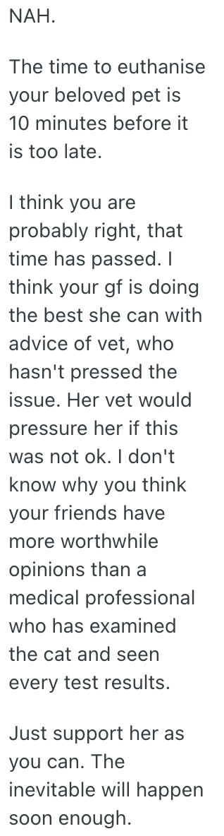 Screenshot 2025 07 29 at 8.46.54 AM His Girlfriend Doesnt Want To Put Her Sick Cat To Sleep Yet, But He Thinks She Needs To Do it Immediately