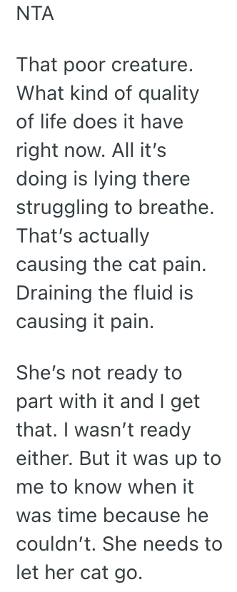Screenshot 2025 07 29 at 8.47.17 AM His Girlfriend Doesnt Want To Put Her Sick Cat To Sleep Yet, But He Thinks She Needs To Do it Immediately