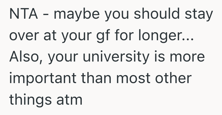 Screenshot 2025 07 31 at 9.41.16 PM Son Is Near Burnout From His Chaotic Schedule, But Now His Parents Are Calling Him Lazy Even Though They Never Treated Their Cats Fleas