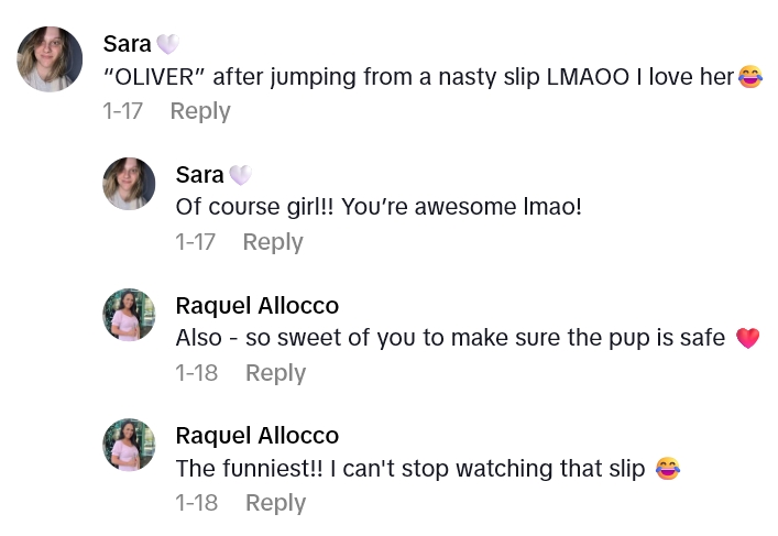 Screenshot 1 73d8de Just When They Thought Their Dog Had Run Away, He Shows Up Again Like Nothing Happened at All