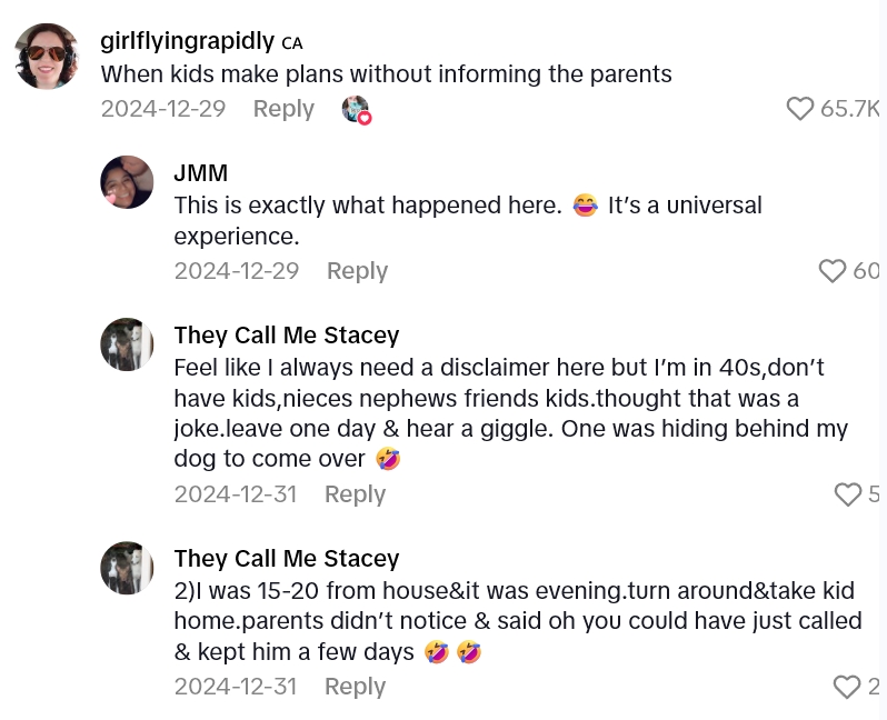 Screenshot 2 44af78 Her Mother In Laws Dog Somehow Sneaked His Way Into A Vacation With Two Golden Retrievers