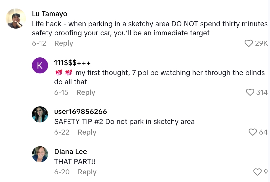 Screenshot 2 6c43d9 Driver Has A Technique For Protecting Her Car From Break Ins, And Its Ridiculously Elaborate