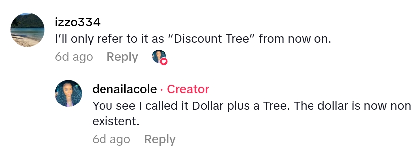 Screenshot 2 766e3e Customer Takes Final Lap Around The More Than a Dollar Dollar Tree, Because Theyve Lost Their Minds