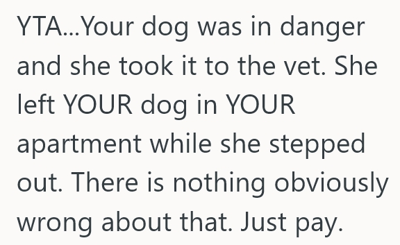 Screenshot 2 7b845c Homeowner Asked Their Neighbor To Look After Their Dog For Awhile, But Now The Pooch Has Medical Bills Nobody Wants To Pay