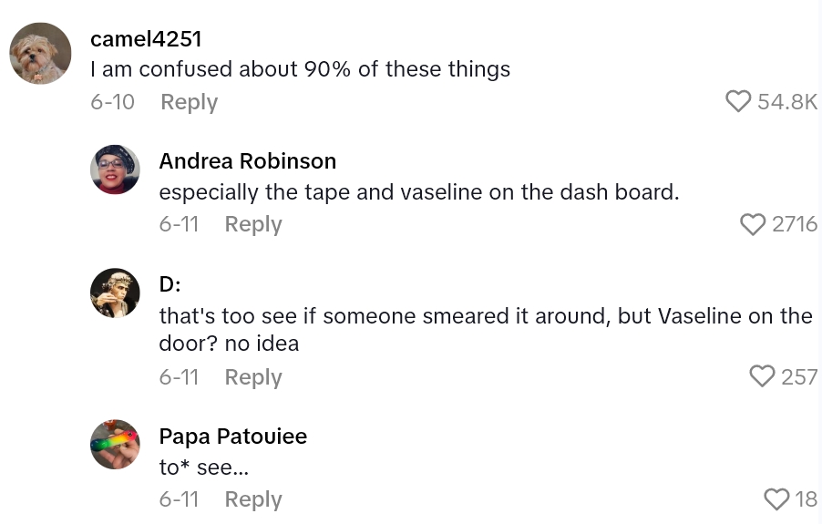 Screenshot 3 0b38b7 Driver Has A Technique For Protecting Her Car From Break Ins, And Its Ridiculously Elaborate