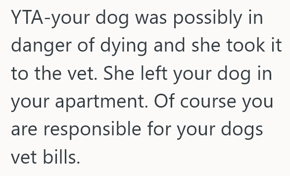 Screenshot 3 133d53 Homeowner Asked Their Neighbor To Look After Their Dog For Awhile, But Now The Pooch Has Medical Bills Nobody Wants To Pay