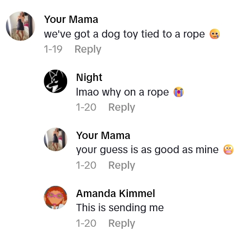 Screenshot 3 af0cce Dollar Trees Method For Getting Customer Service Makes Us Think Maybe Theyre A Little Too Budget