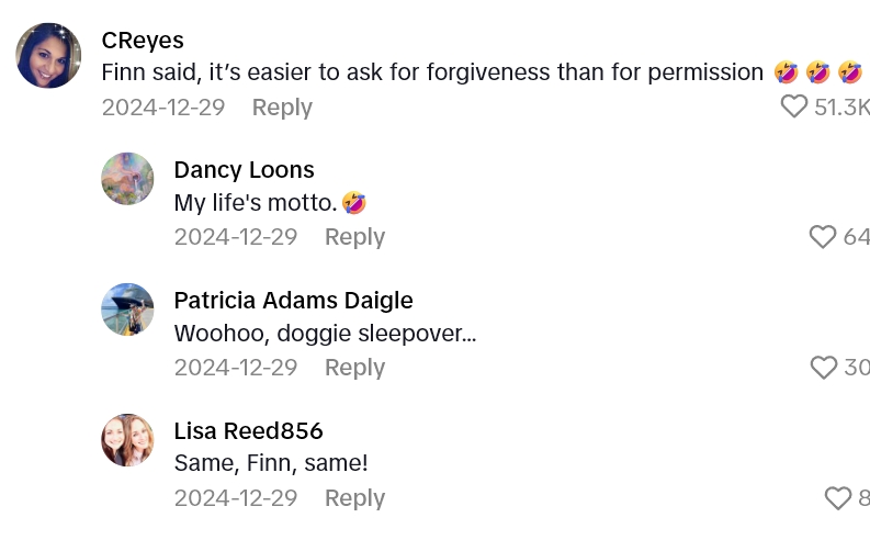 Screenshot 3 b8b7f9 Her Mother In Laws Dog Somehow Sneaked His Way Into A Vacation With Two Golden Retrievers