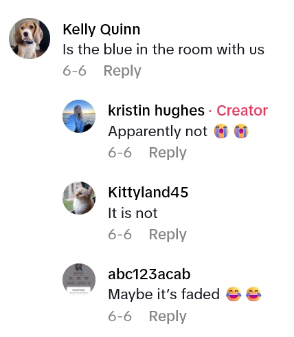 Screenshot 4 She Was Giving Away A Chair, But Now Shes In An Existential Quandary About What Color It Is