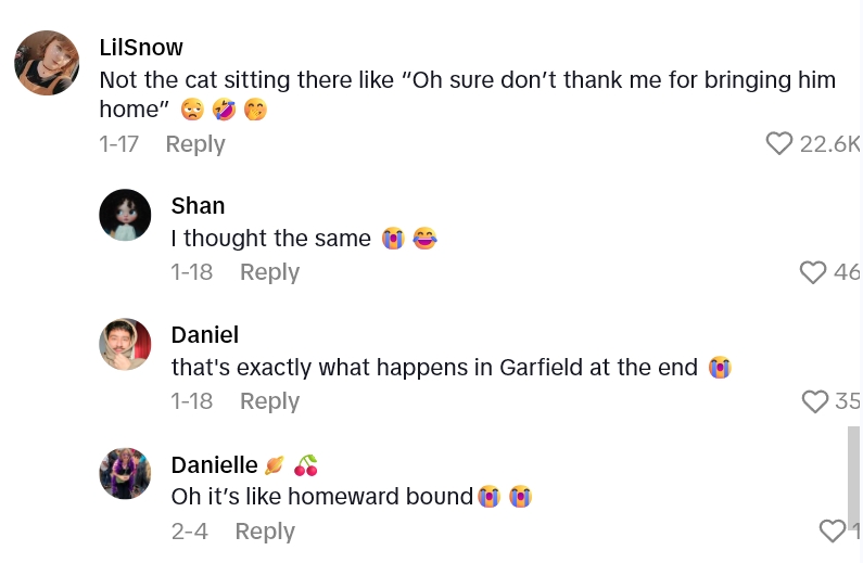 Screenshot 4 688a01 Just When They Thought Their Dog Had Run Away, He Shows Up Again Like Nothing Happened at All