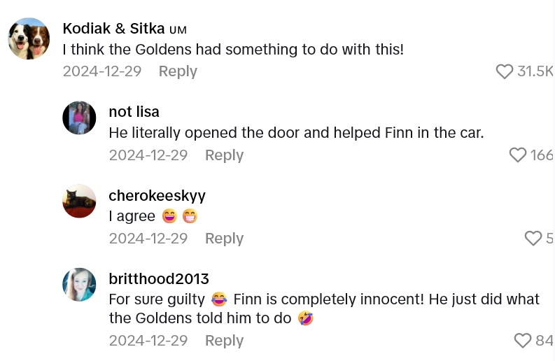 Screenshot 4 9c274c Her Mother In Laws Dog Somehow Sneaked His Way Into A Vacation With Two Golden Retrievers