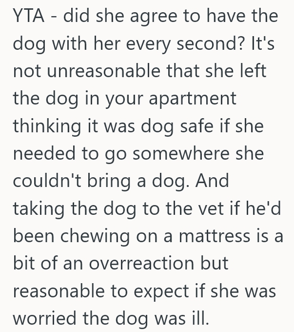 Screenshot 4 e62e95 Homeowner Asked Their Neighbor To Look After Their Dog For Awhile, But Now The Pooch Has Medical Bills Nobody Wants To Pay