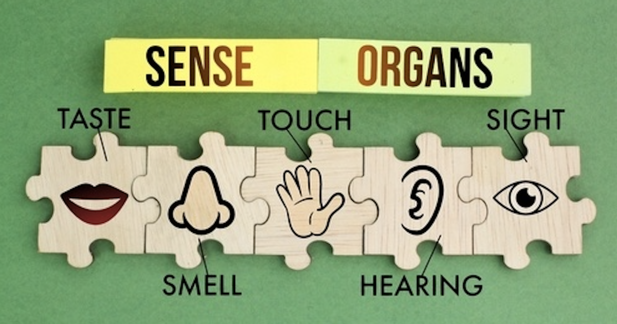Illustration about Senses