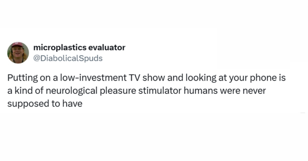 The Shirk Report - Volume 856