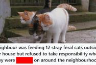 Neighbor Fed Stray Cats But Ignored The Mess They Made, So This Parent Returned It Right To Her Door And The Problem Stopped Immediately