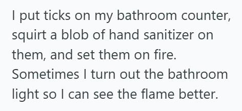 Tick 1 Mother Found A Tick On Her Toddler’s Scalp, So She Sealed It In A Bag And Vowed To Make It Sit For Years