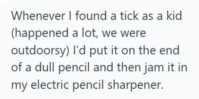 Tick Mother Found A Tick On Her Toddler’s Scalp, So She Sealed It In A Bag And Vowed To Make It Sit For Years