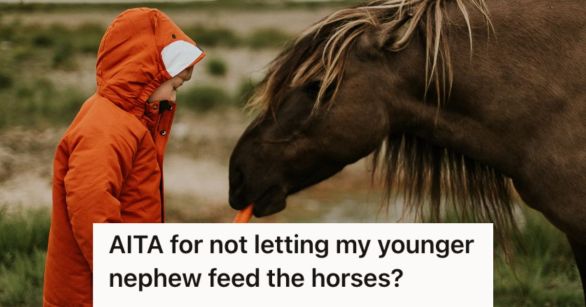 Boy feeding the horse with a carrot