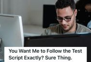 Employee Followed The Quality Assurance Routine Exactly As Instructed By His Lead, So The Game They Were Testing Encountered A Critical Bug