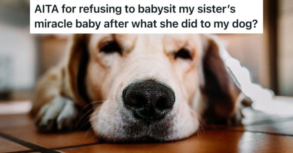 Close up of a Labrador's face lying on the floor