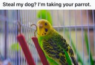 Dog Trainer Stole His Expensive Guard Dog, So This Man Taught Him A Lesson On Stealing