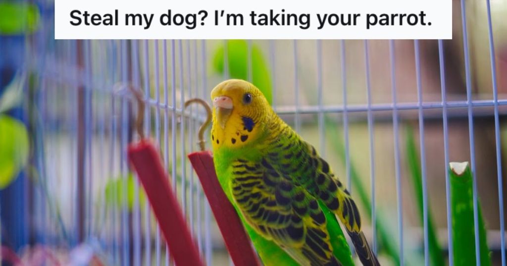 Cute little parrot inside a cage