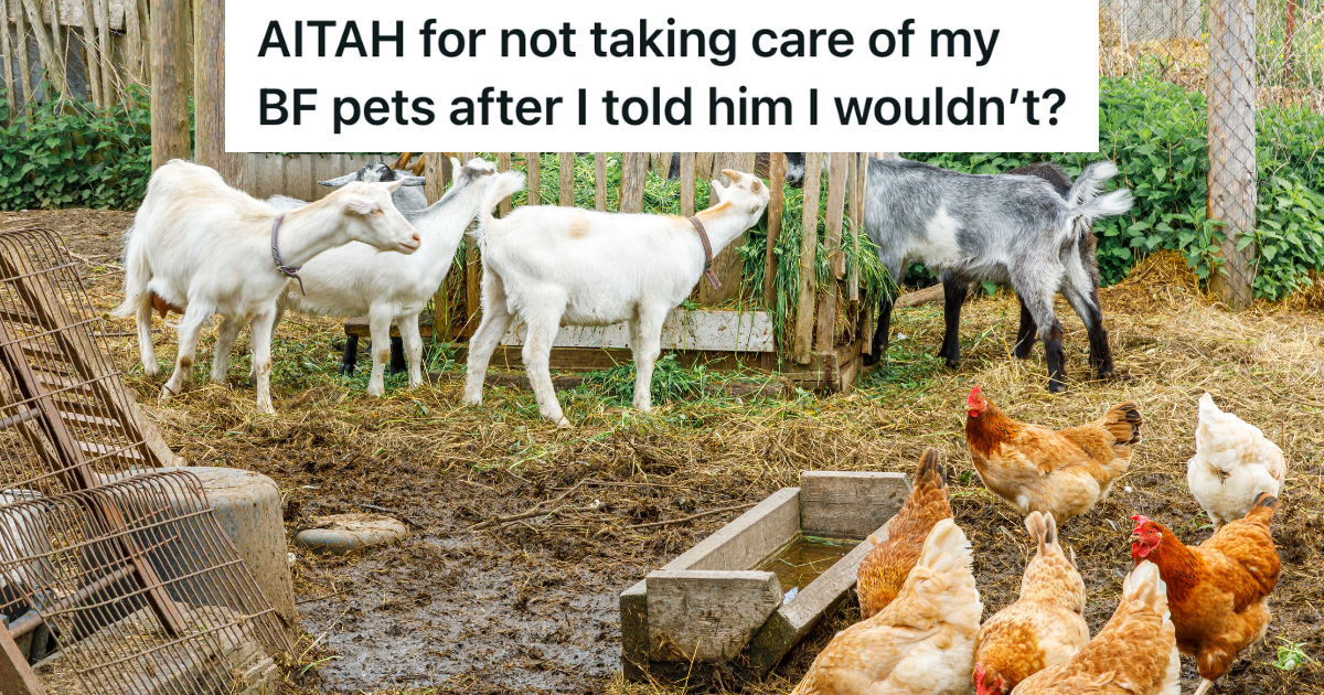 chickens and goats