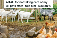 She Told Her Boyfriend That If He Got More Pets She Wouldn’t Take Care Of Them, But He Called Her Bluff And Found Out The Hard Way That She Wasn’t Joking